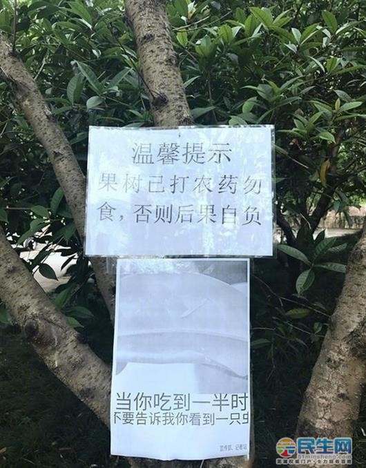芜湖一高校贴出这样的标语,看了你还敢偷摘果子吗?