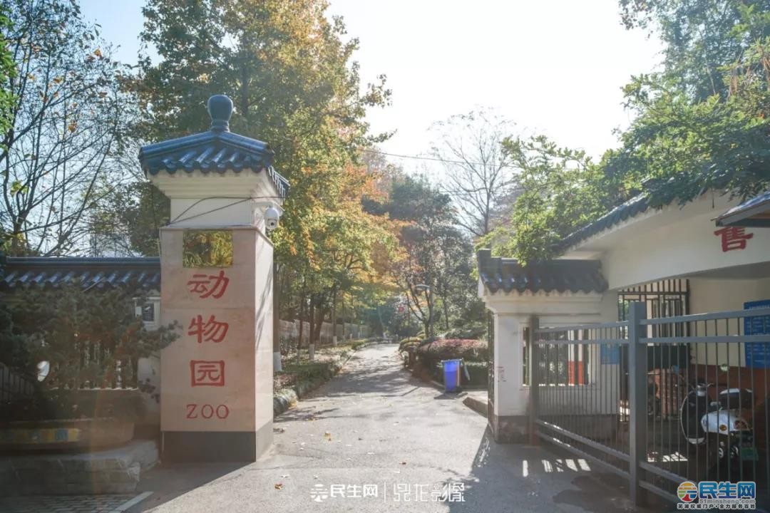 芜湖赭山动物园60年,你有多久